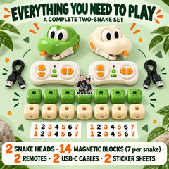 Battle Set contents: 2 snake heads, 14 magnetic blocks, 2 remotes, 2 USB-C cables and 2 sticker sheets — 9